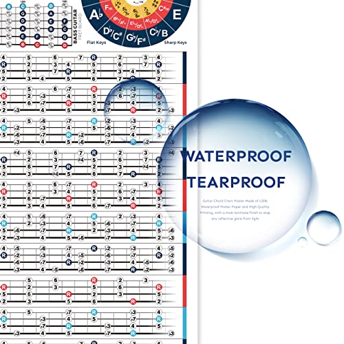 Bass Scales Chart Poster for Beginners, Master Bass Guitar Fretboard Notes, Bass Scales and Modes, Circle of Fifths for Learning & Reference, 16'' x 24'' Acoustic & Electric Basses Theory Chart 3