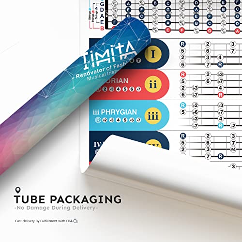 Bass Scales Chart Poster for Beginners, Master Bass Guitar Fretboard Notes, Bass Scales and Modes, Circle of Fifths for Learning & Reference, 16'' x 24'' Acoustic & Electric Basses Theory Chart 4