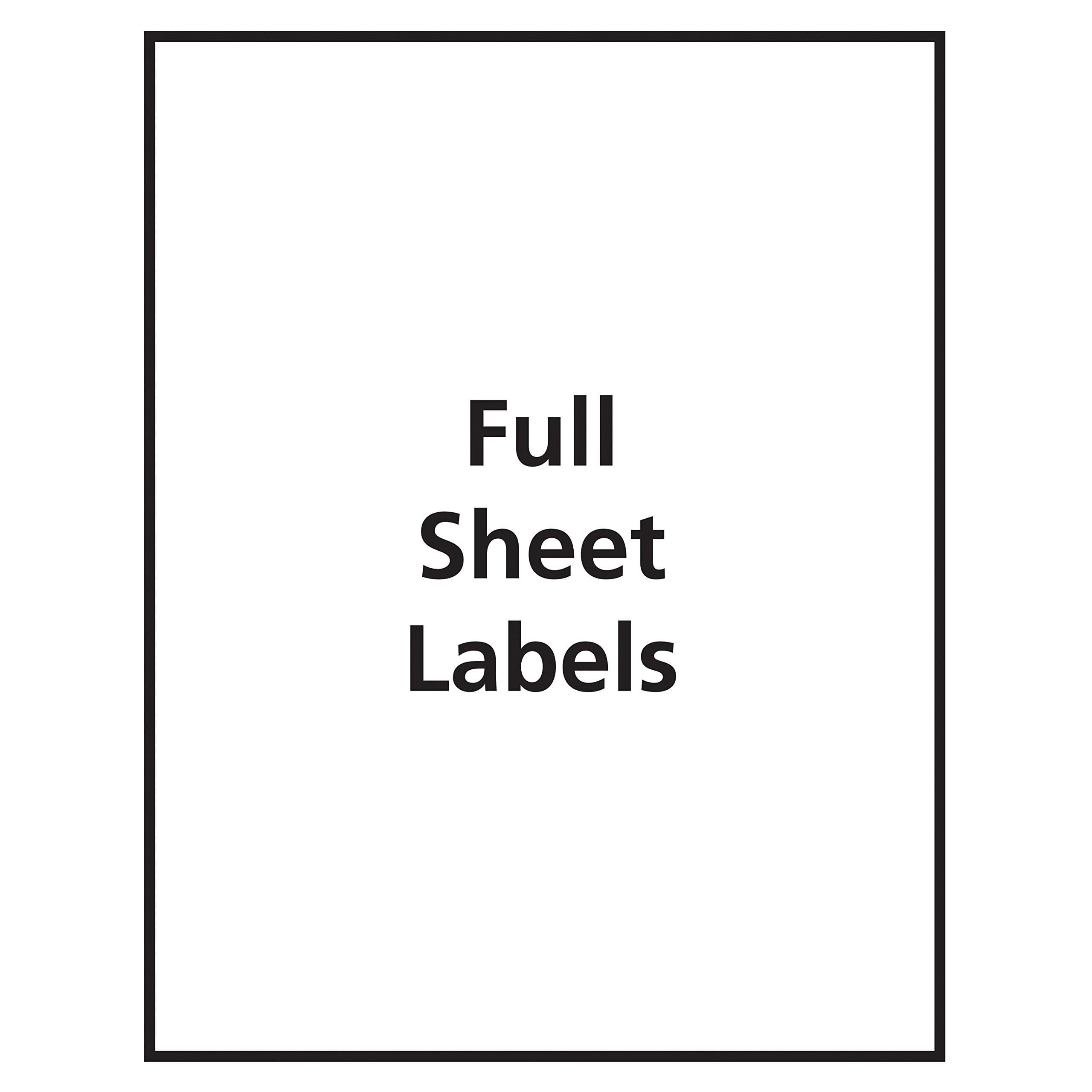 Avery Full Sheet Printable Shipping Labels, 8.5" x 11", Matte Clear, 10 Blank Mailing Labels (18665) 4