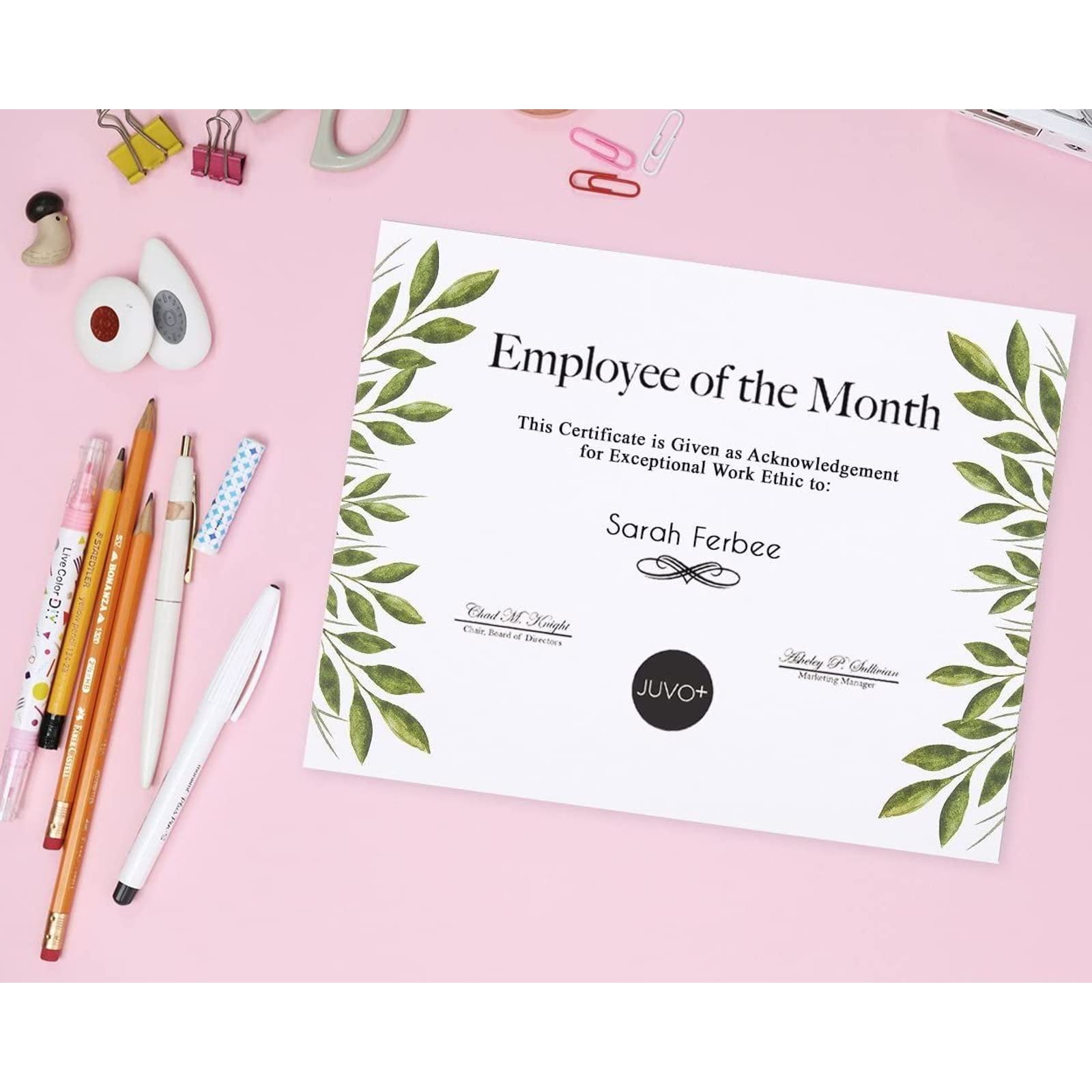 Leaf-Themed Stationery Paper Set - 8.5 x 11 in, 48 Pack - Single-Sided Decorative Writing & Printer Paper for Letters, Notes & Announcements 3