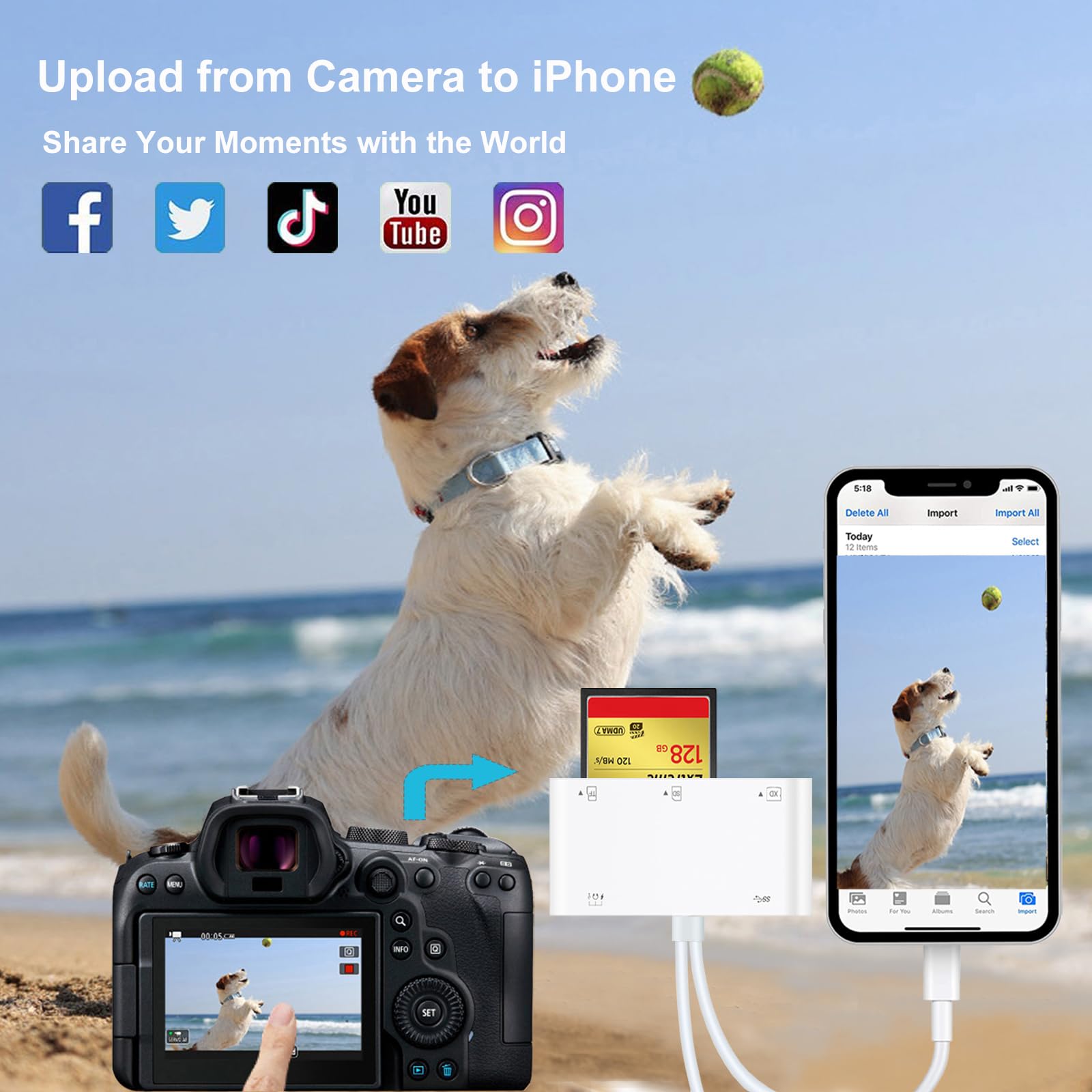 9-in-1 Memory Card Reader, USB OTG Adapter & CF/SD/Micro SD/MS/XD Card Reader with USB/USB-C Connector Compatible with iPhone/iPad/Samsung Galaxy/Google Pixel/MacBook and More, Plug and Play 6