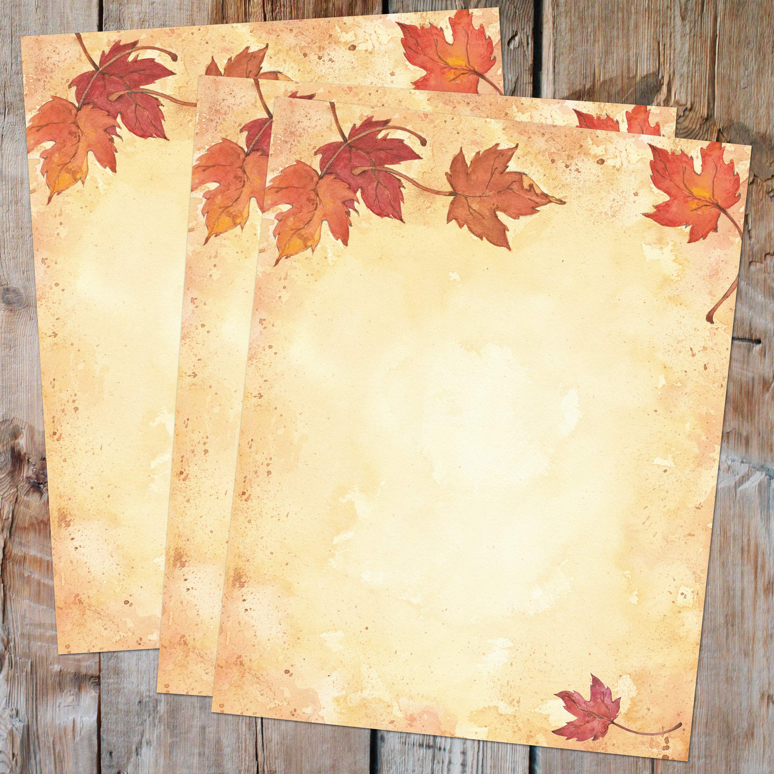 Great Papers! Fall Leaves Letterhead, Imprintable Stationery, 80 Sheets, 8.5" x 11" (2014075) 4