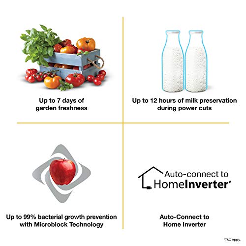 Whirlpool 200 L 3 Star Direct-Cool Single Door Refrigerator (215 IMPRO ROY 3S PURPLE MULIA, Purple Mulia) 6