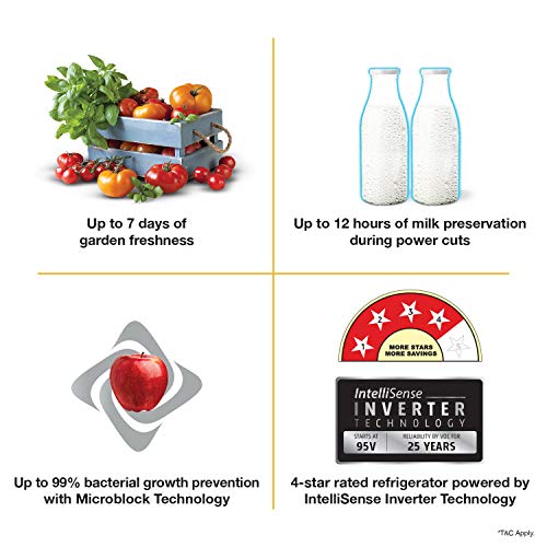 Whirlpool 200 L 4 Star with Inverter Single Door Refrigerator (215 IMPRO ROY 4S INV COOL ILLUSIA, Cool Illusia) 6