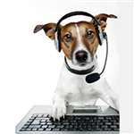 RUCKUS WIRELESS 803-7762-3000 803-7762-3000 Watchdog Adv HW Replace for ZF7762, 7762 -S, 7762 Ruckus 803-7762-3000 1