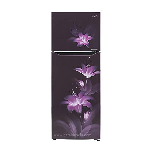 LG 284 Litres Convertible PLUS Fridge with Smart Inverter Compressor, Door Cooling+â„¢, Smart Diagnosisâ„¢, Auto Smart Connectâ„¢