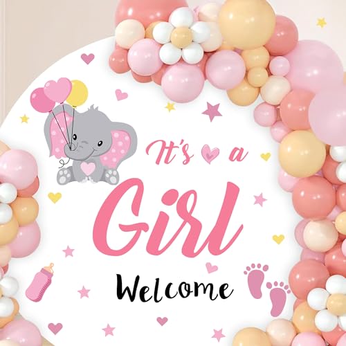 It's A Girl Sign Decls for Backdrop Baby Shower Decorations for Girl Welcome Home Baby Girl Decals Sign for Balloon Arch Baby Elephant Gender Reveal Party Signs 1