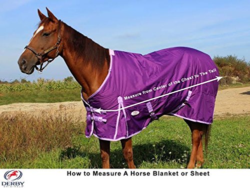 Derby Originals Classic Winter Horse Turnout Blanket 600D Medium Weight 5
