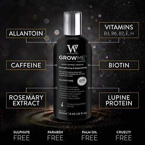 Watermans Grow me Shampoo for Hair Growth & Hair Fall Control, with Biotin,Argan oil and Caffeine and DHT Blockers hair growth factors 250ml 2