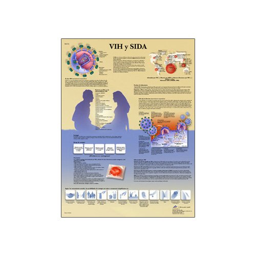 3B Scientific VR3725L Glossy UV Resistant Laminated Paper Vih Y Sida Anatomical Chart (Hiv and Aids Anatomical Chart, Spanish), Poster Size 20" Width x 26" Height 1