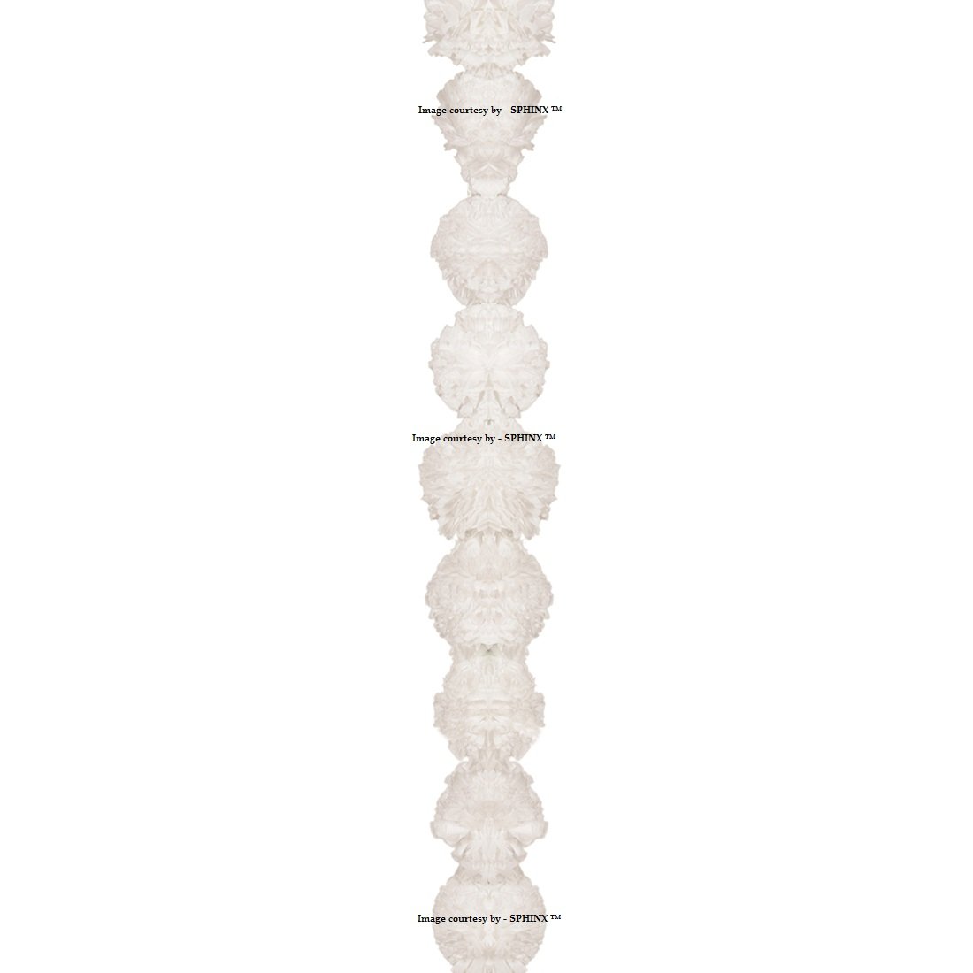 SPHINX Artificial Marigold Fluffy Flowers Garlands for Festive Pooja Wedding Housewarming Diwali Decorations (White, 15) 3