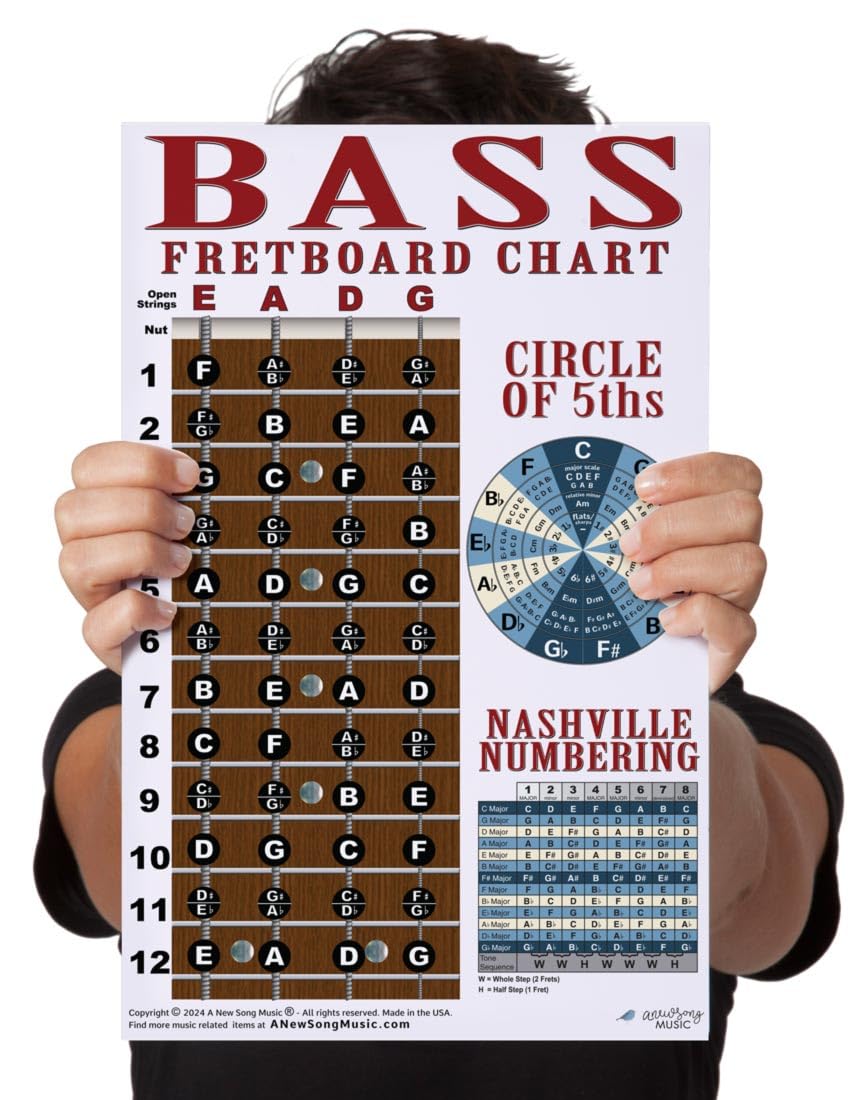 A New Song Music Laminated 4 String Bass 11x17 Instructional Chart Poster with Circle of 5ths Nashville Numbering System 1