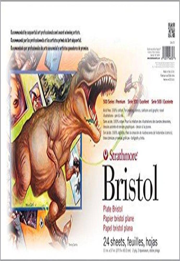 Strathmore (580-52 500 Series Sequential Art Bristol, 2-Ply Plate Surface, 24 Sheets 1