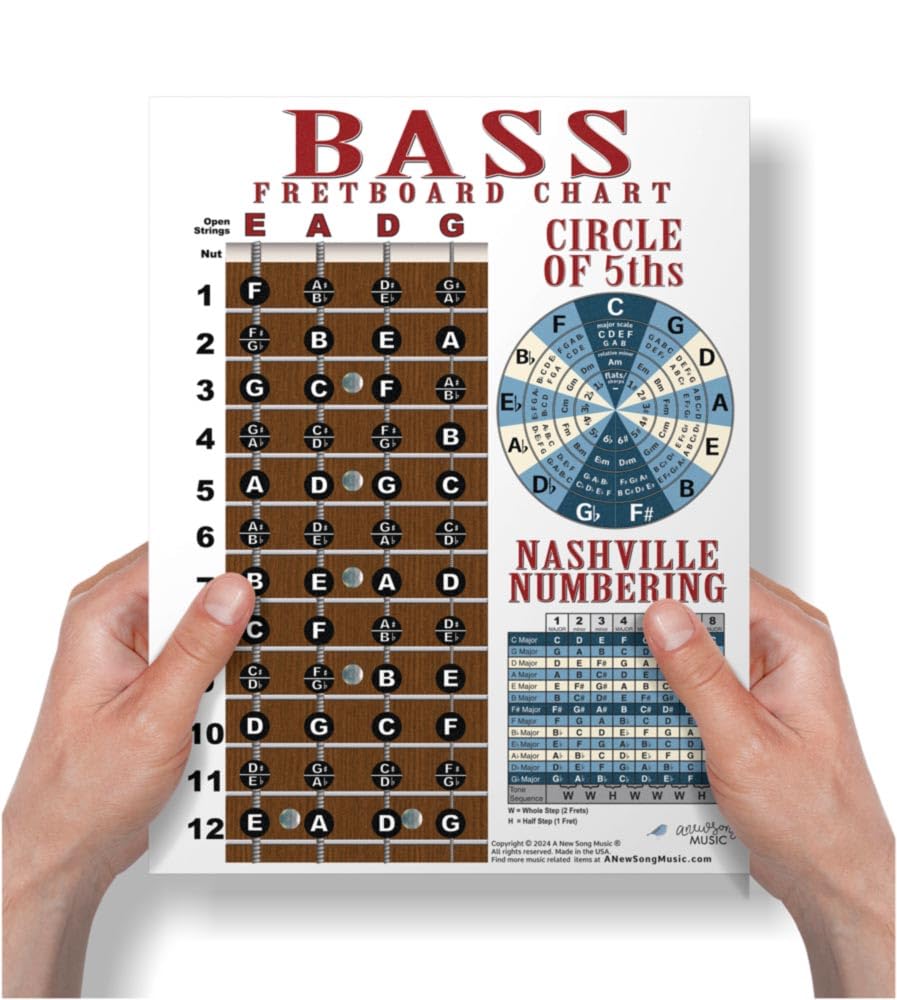 A New Song Music Laminated 4 String Bass Fretboard Notes Chart Nashville Number System & Circle of 5ths Easy Instructional Poster for Beginner for Notebook 2024-8.5" x 11" 1