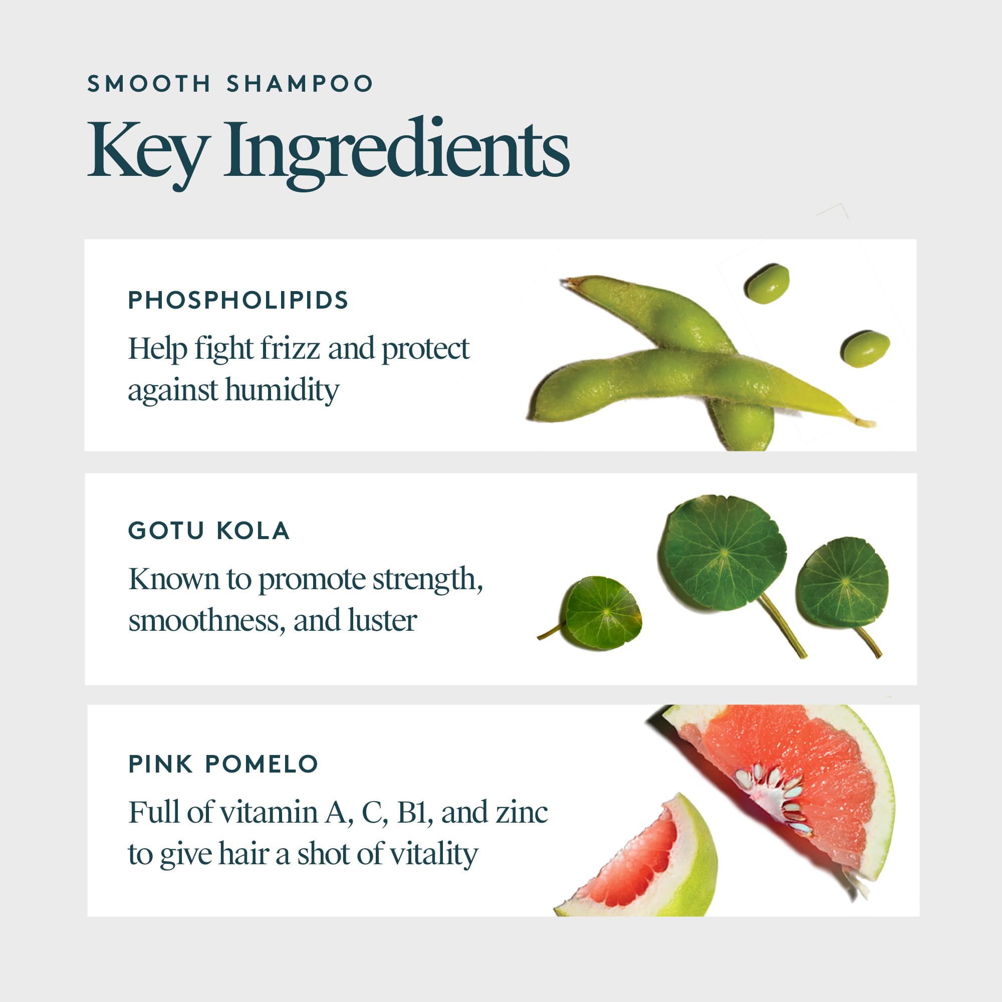 VIRTUE Smooth Sulfate Free Shampoo for Frizz Control for Curly Hair, Safe for All Hair Types, Color Safe 4