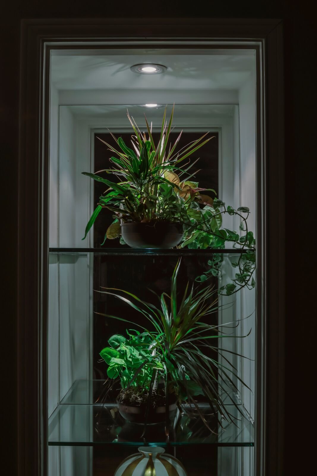 SYLVANIA Ultra LED Light Bulb dimmable 9W Replacing 50W Halogen MR16 12V / G4 Bi-Pin Base / 3000K - warm white 6