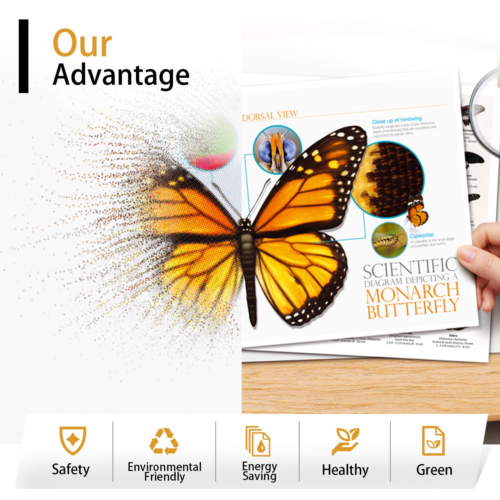 Wondrx Waste Toner Bottle Compatible with Ricoh IM C2000 C2500 C2510 C3000 C3010 C3500 C3510 C4500 C4510 C6000 C6010, 418425 D0BQ-6400 D0BQ6400 Toner Collection High Yield 101000 Pages (4 Pack) 5