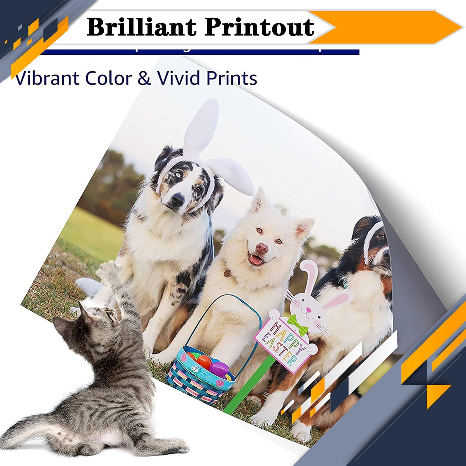 LISTWA W9048MC Waste Toner Box, Compatible for HP MFP E77822dn E77822z E77825dn E77825z E77830dn E77830z MFP E77428dn E77422dn E77422dv E77422a E77428dv Printers Black*1 6