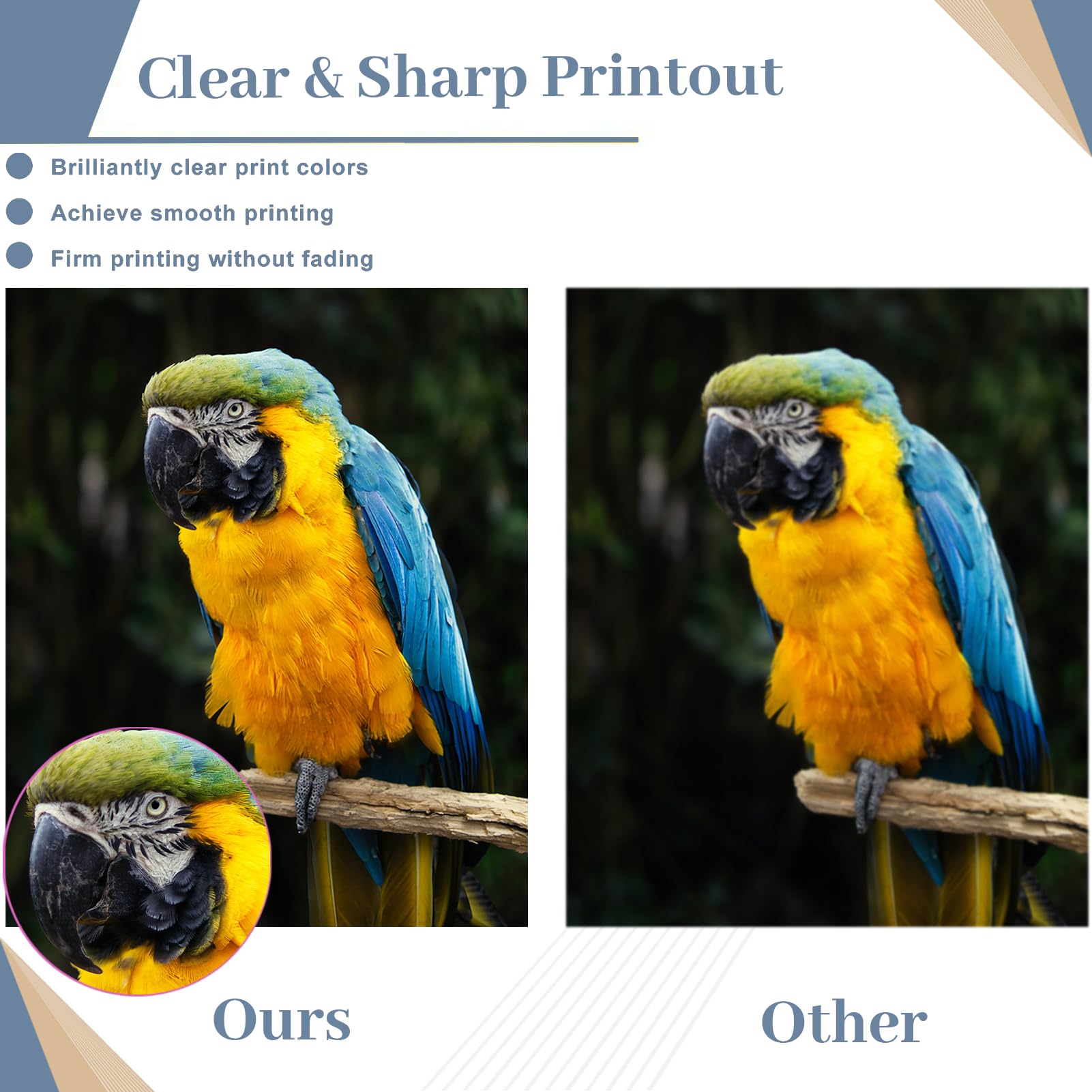 Compatible High Yield Developer Unit Replacement for Konica Minolta DV-311 DV311 for Use in Bizhub C220 C280 C360 Printer (3-Pack 1C/1M/1Y) 6