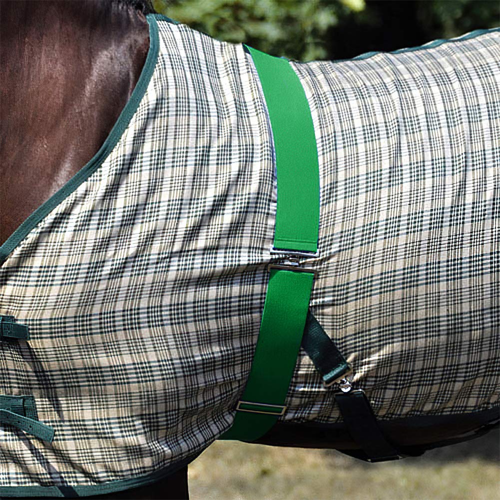 Intrepid International Elastic Blanket Surcingle, Hunter Green 2