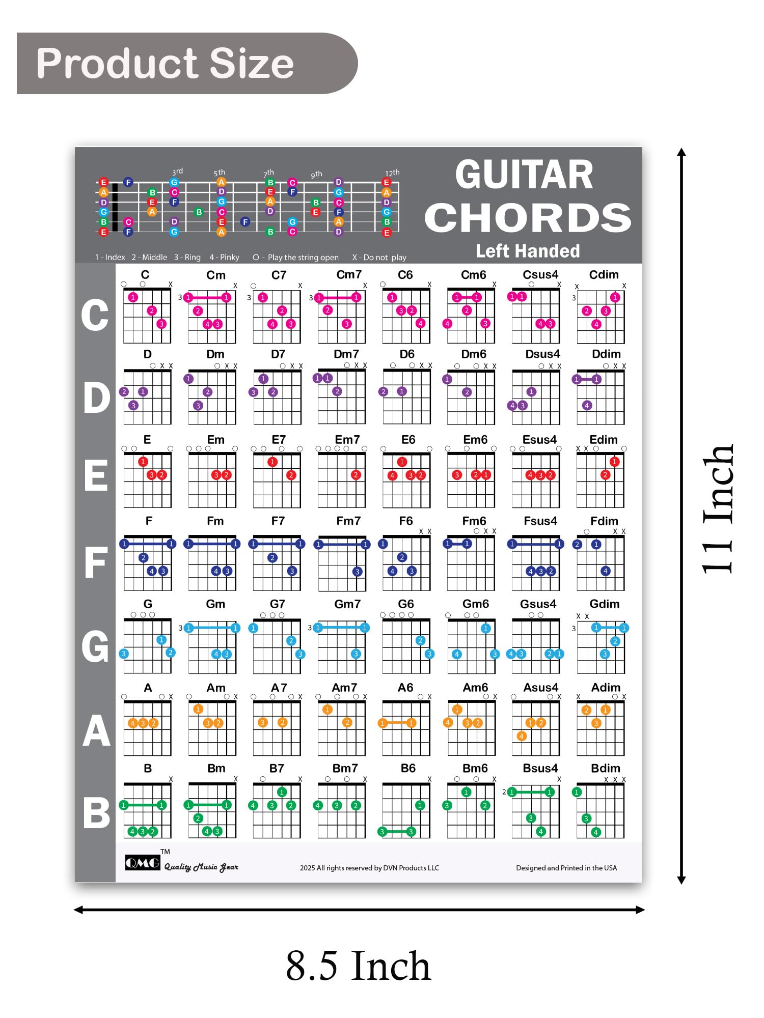 QMG Left Handed Guitar Chords Cheatsheet and Circle of Fifths Chart – Laminated A4 Music Theory Chart for Beginners 3