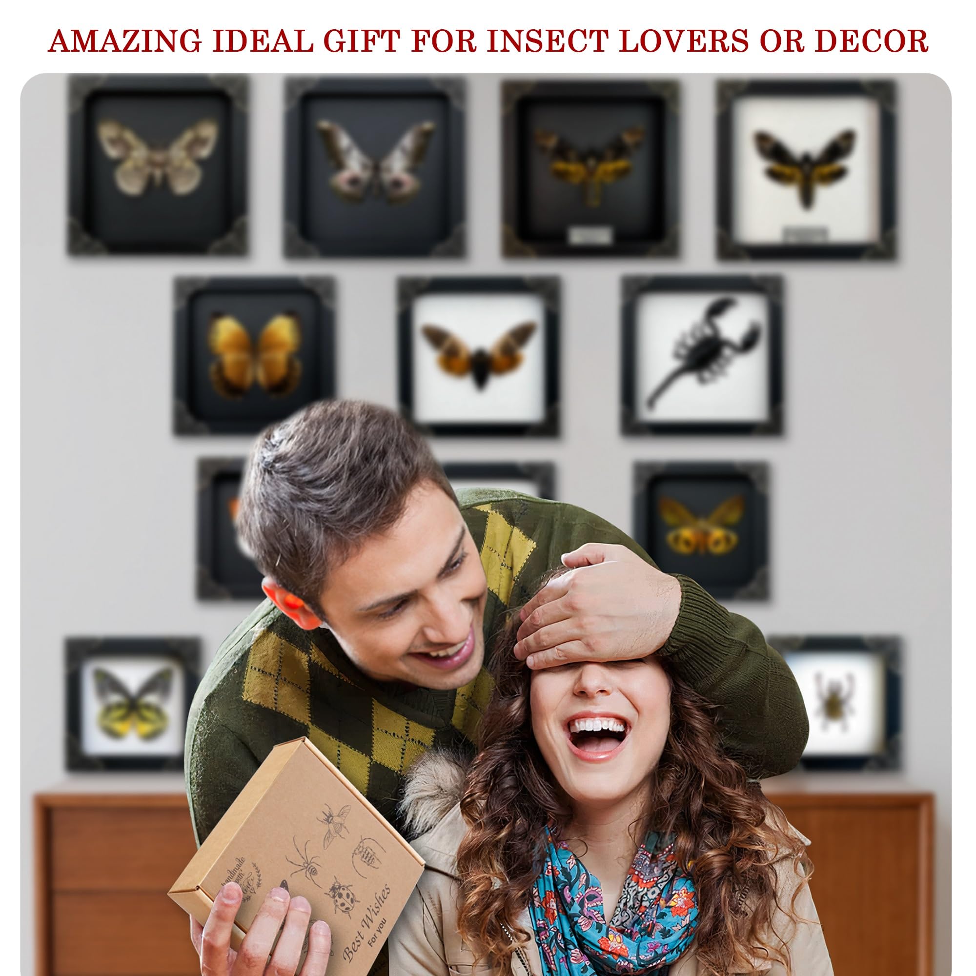 VINADECOR Gothic Green Mantis Beetle in Coffin Frame Spooky Halloween Taxidermy Specimen Entomology Curiosity Preserved Insect Decor Scientific Oddity CF12-62-DE 6