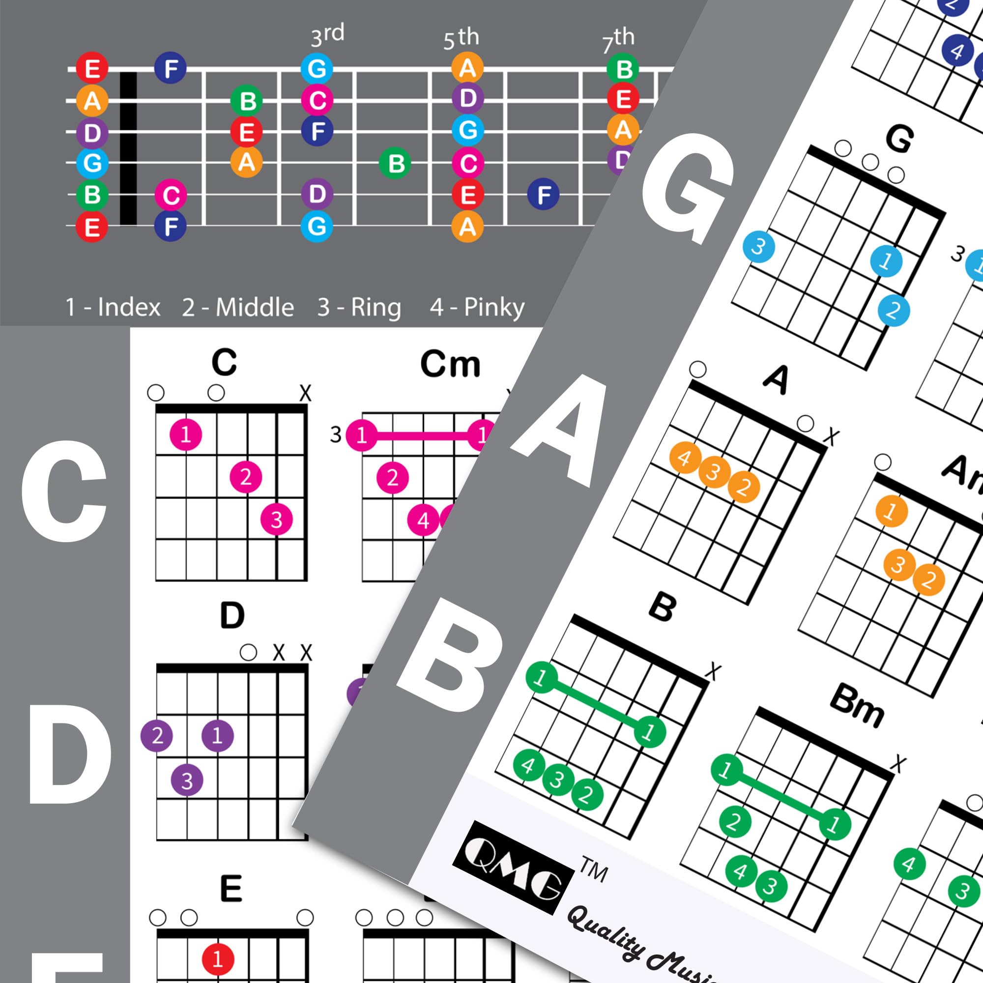 QMG Left Handed Guitar Chords Cheatsheet and Circle of Fifths Chart – Laminated A4 Music Theory Chart for Beginners 4