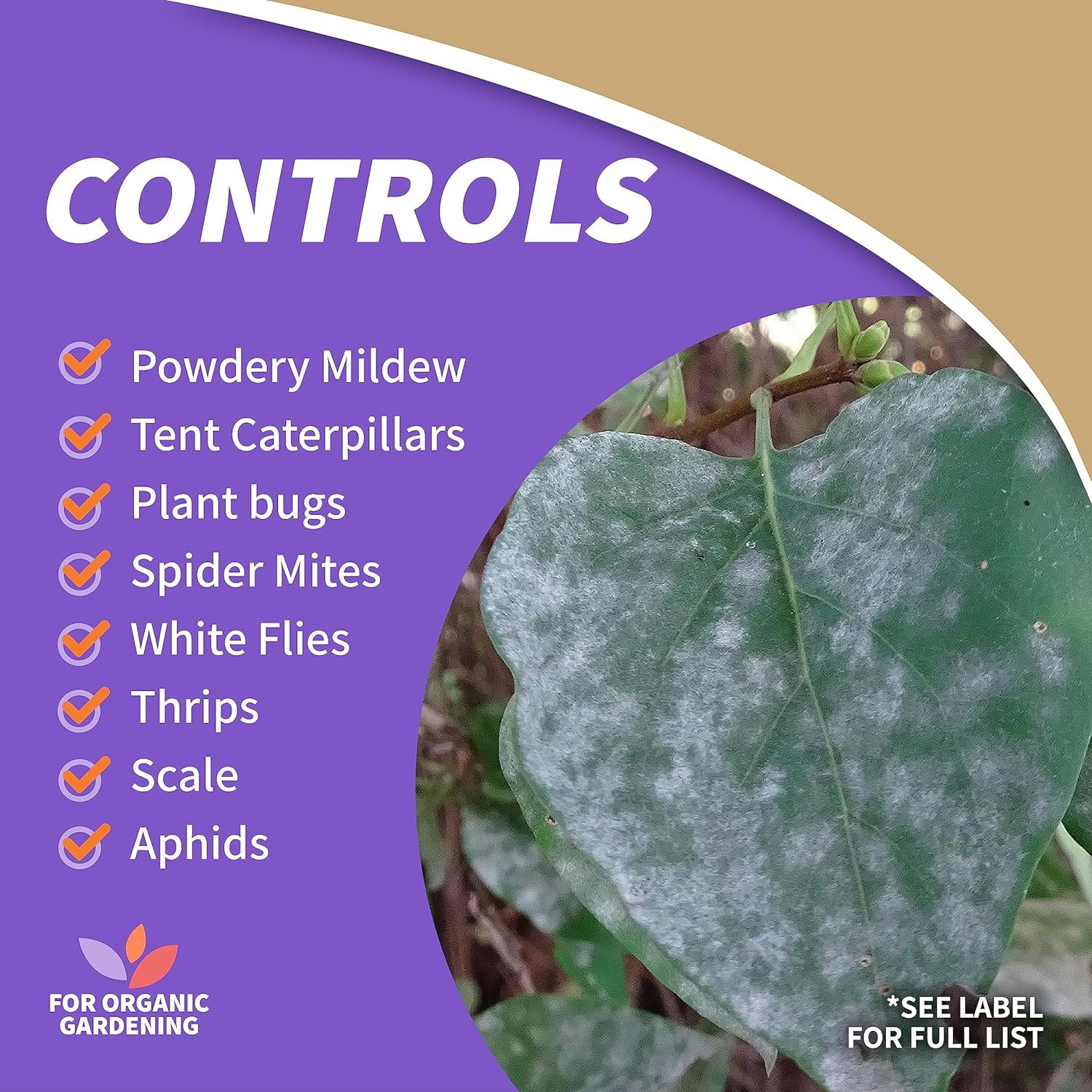 Bonide Insecticidal Soap, 32 oz Ready-to-Use Spray Multi-Purpose Insect Control for Organic Gardening Indoor and Outdoor- Pack of 2 5