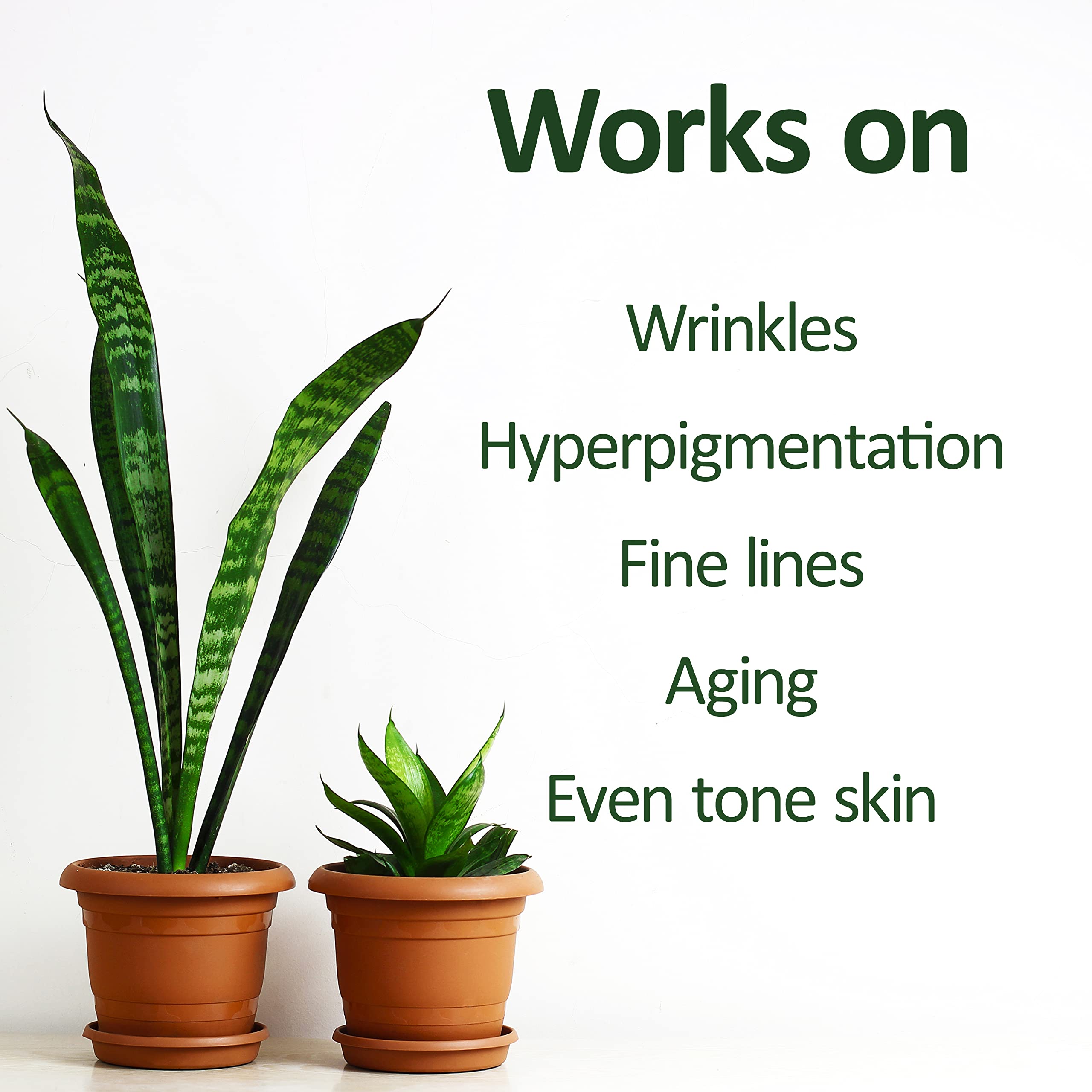 Deve Herbes Plant Based Retinol Face Serum with Bakuchi Oil, Linseed, Cotton Seed Oil & Liquorice Root Extract for Personal Care 30ml (1 oz) + Pure Vitamin E Oil 30ml (1 oz) 3