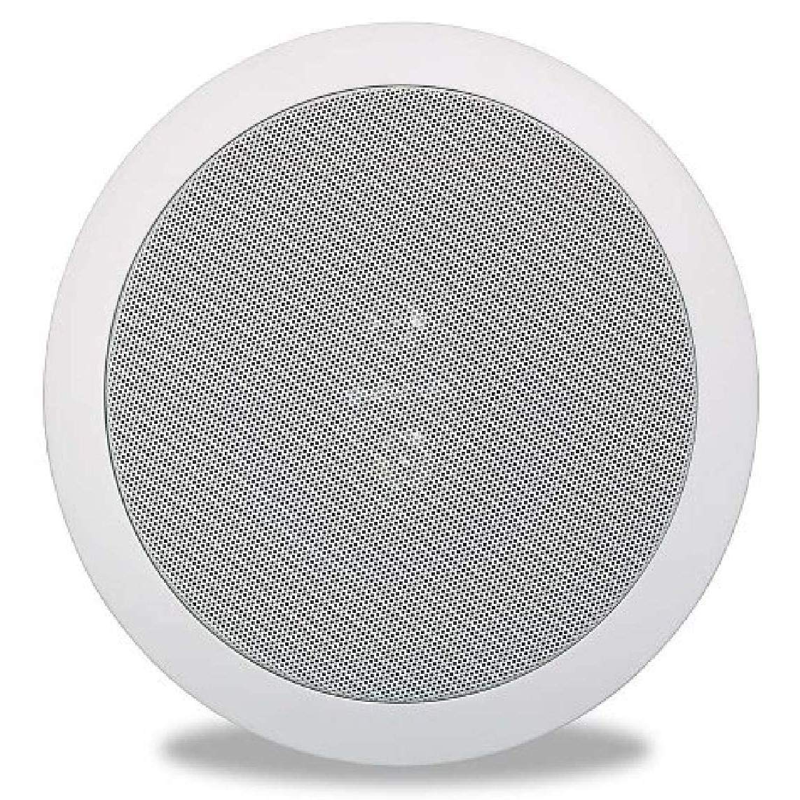 Polk Audio RC6s in-Ceiling 6.5" Stereo-Speaker | Dual Channel from a Single Location & Atrium 8 SDI Flagship Outdoor Speaker (White) 3