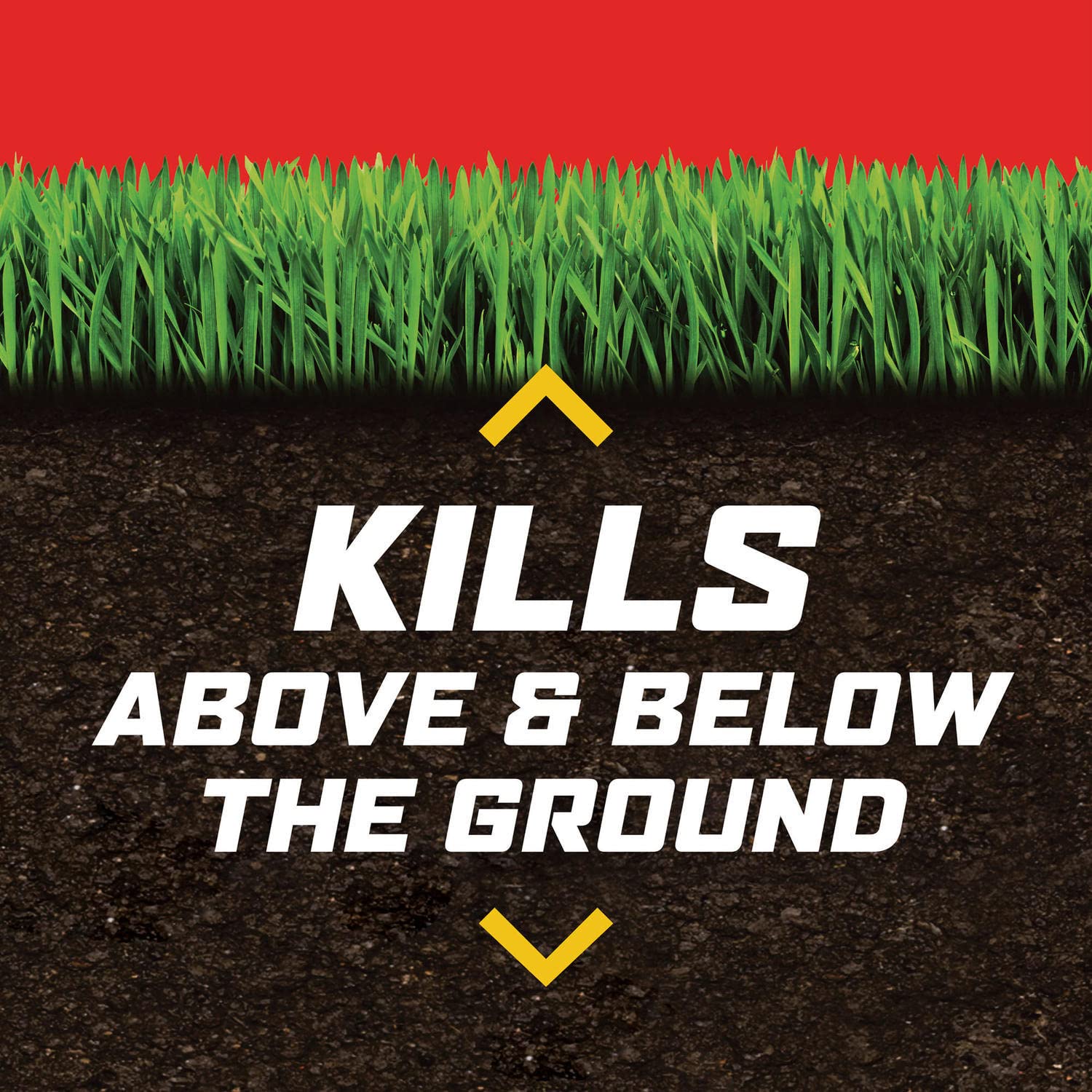 Ortho Lawn Insect Killer Granules: Treats up to 20,000 sq. ft., For Yard, Garden & Landscapes, Works on Listed Ants, Spiders, Fleas & Ticks, 20 lbs. 6