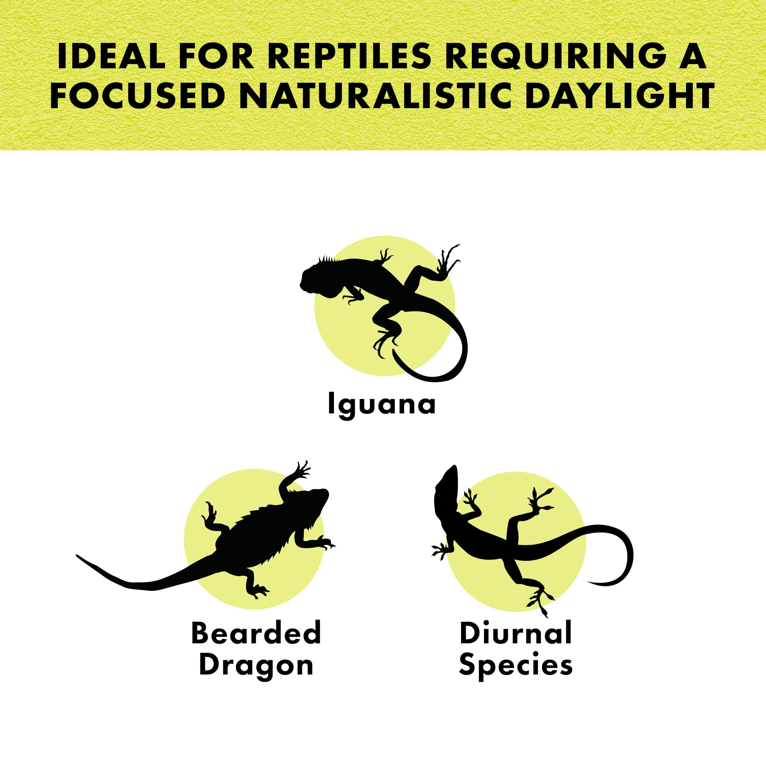 Zilla Incandescent Spot Bulbs Day White 100 Watts 4