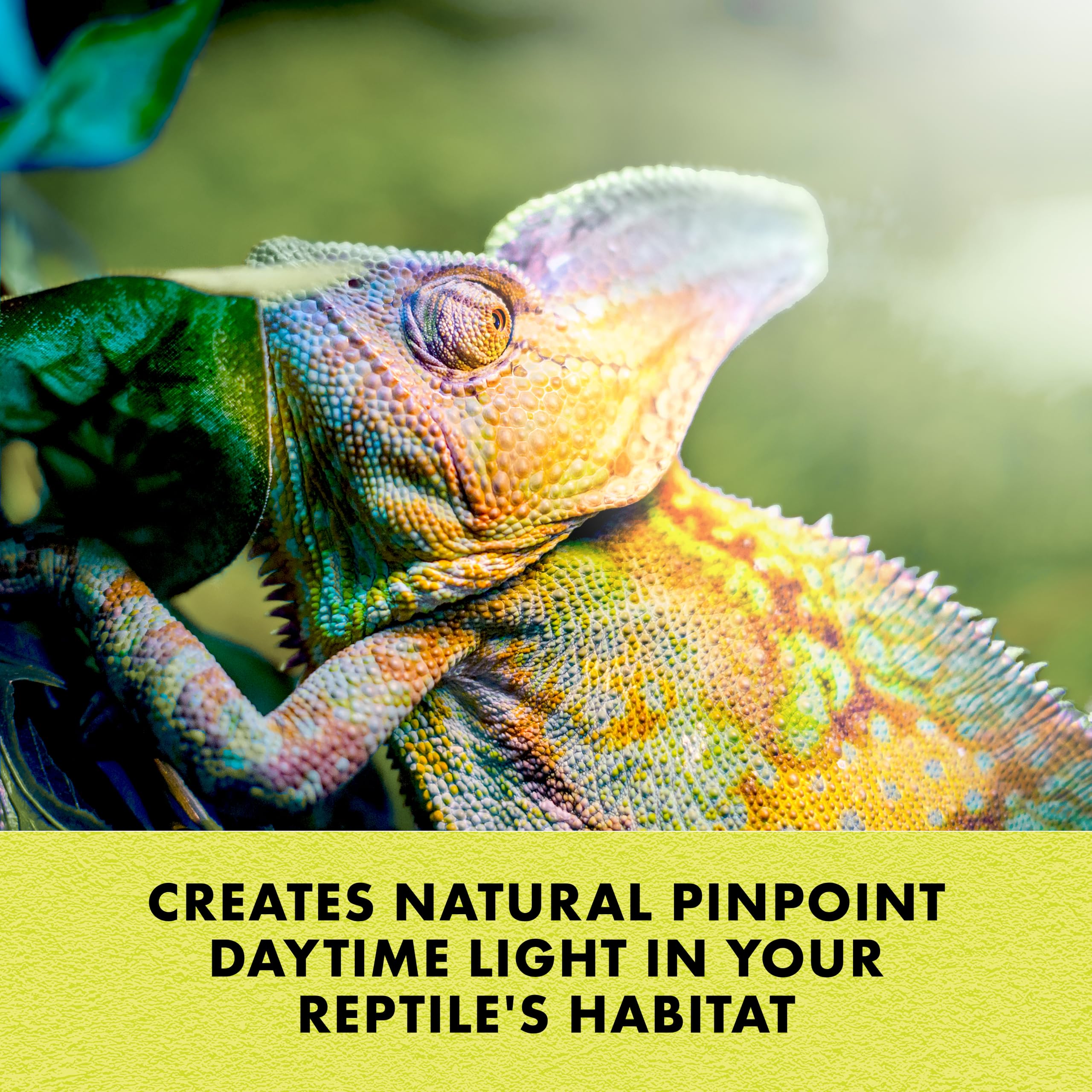 Zilla Incandescent Spot Bulbs Day White 100 Watts 5