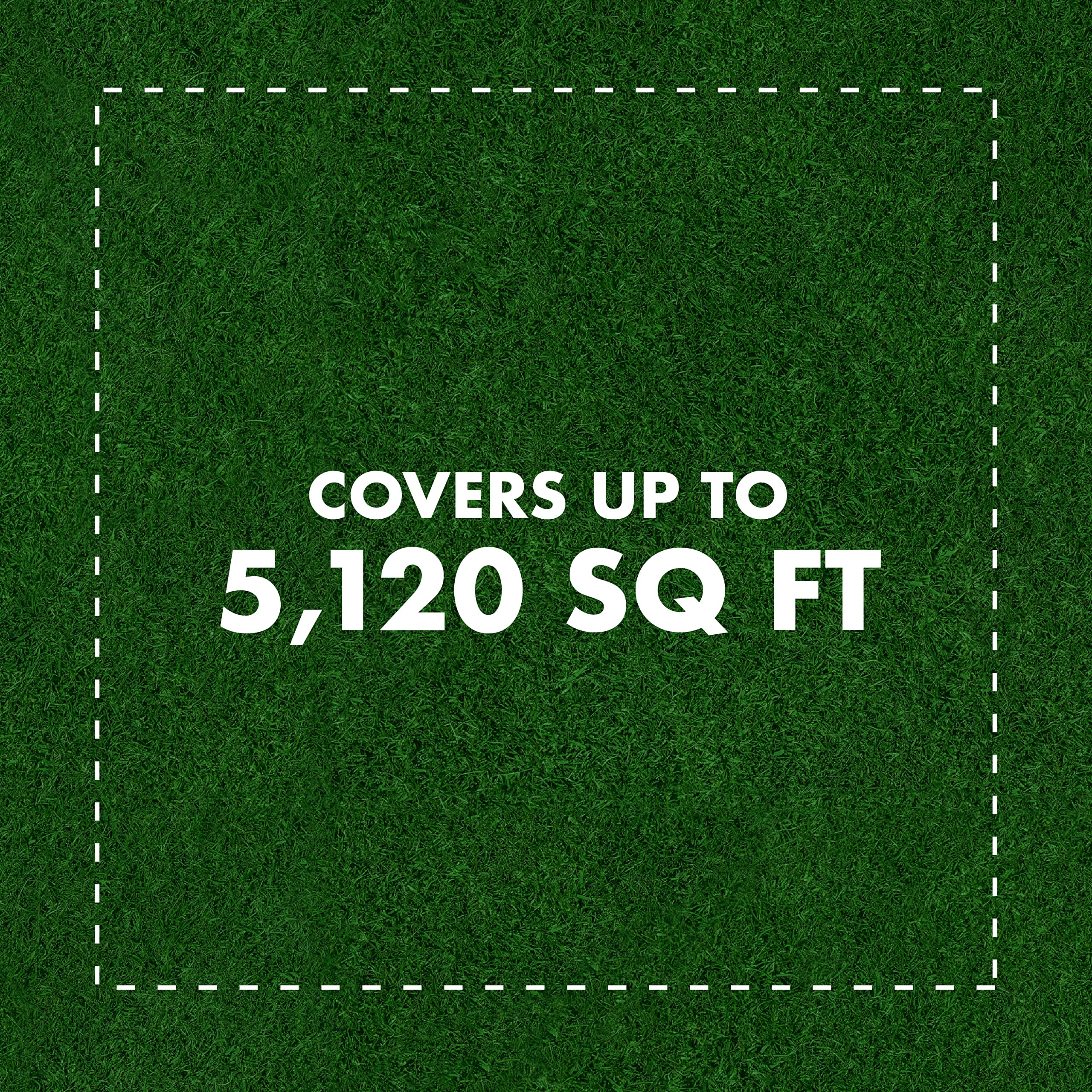 Spectracide Triazicide Insect Killer For Lawns & Landscapes Concentrate (Ready-To-Spray), Protects Lawns, Vegetables, Fruit & Nut Trees, Roses, Flowers & Shrubs, 32 fl Ounce 4