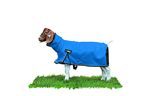 Weaver Leather Livestock ProCool Mesh Goat Blanket with Reflective Piping, Blue, Large